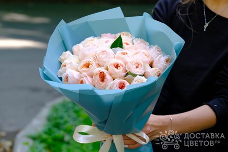 Букет из 25 пионовидных кремовых роз в пленке "Джульетта"